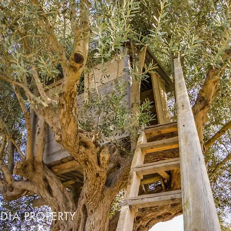 Kır Evi Pegasus Alcudia (Mallorca)